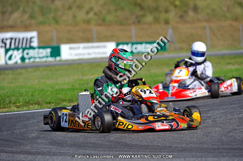 DSC_ (75).jpg